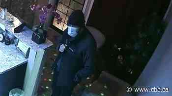 Calgary police search for suspect in sexual assaults