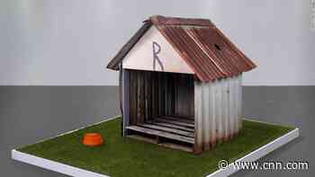 A doghouse struck by a meteorite has sold at auction