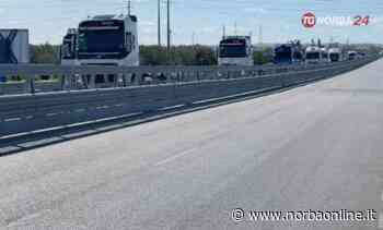 Tir lumaca sulla provinciale Andria-Trani/VIDEO - norbaonline.it