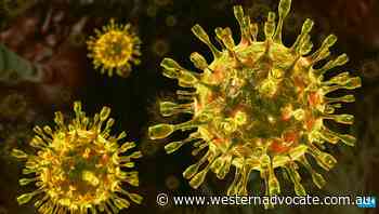 NSW COVID cases remain above 8000 - Western Advocate