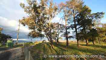 Bathurst council agrees to develop master plan vision for McPhillamy Park - Western Advocate