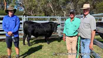 Coonamble Angus sets $72,000 record at Bremer Bay sale - Farm Weekly