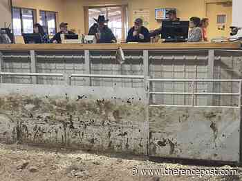 Logterman Family Angus & Hereford Production Sale - The Fence Post