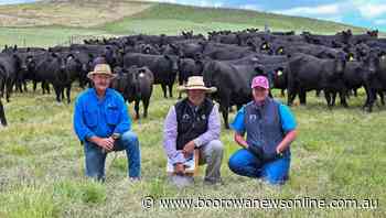 Boorowa commercial cattle win to Rhineberger Angus herd - Boorowa News