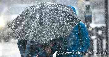 When Storm Gladys is set to hit Hull as Met Office warns of 'blustery' conditions in city this week - Hull Live