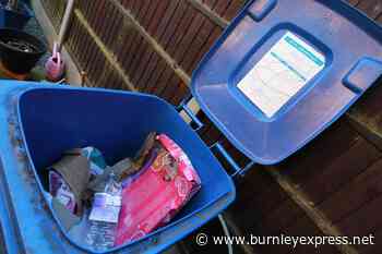 The Nelson streets plagued by junk food eating rats – and what's being done to tackle the problem - Burnley Express