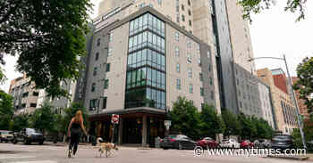 Patrick Nelson Fights With Students, Investors, and a Big Hedge Fund - The New York Times