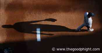 Why Nick Nelson? - The Good Phight