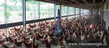 Brussel wil niet morrelen aan criteria voor vrije-uitloopeieren - NieuweOogst.nu