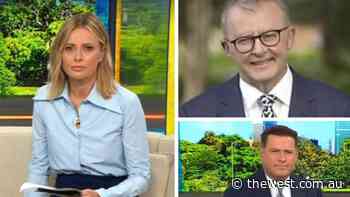 Anthony Albanese stumped by Ally Langdon over price of tampons - The West Australian