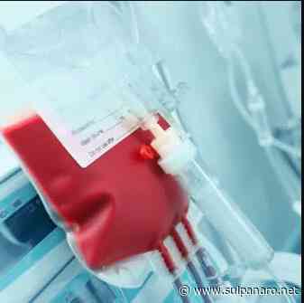 Il sangue dei vaccinati è sicuro: Avis sul caso Modena - SulPanaro