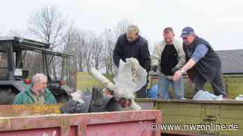 Nach Corona-Pause: Umweltaktion in Garrel startet wieder - Nordwest-Zeitung