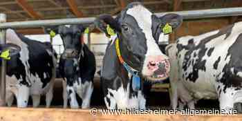 Veterinäramt im Kreis Hildesheim: Nicht genug Personal für Routinekontrollen bei Landwirten - www.hildesheimer-allgemeine.de