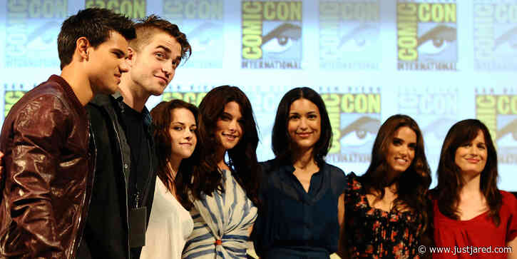 Ashley Greene Admits There Was 'Some Drama' Within the 'Twilight' Cast