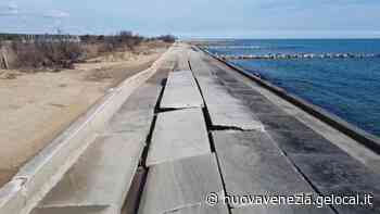 Laguna del Mort dimenticata e abbandonata al degrado, Jesolo ed Eraclea sotto accusa - La Nuova Venezia