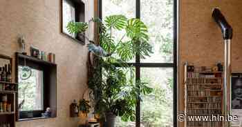 Deze vakantiewoning uit Brasschaat staat op palen: “Ze zweeft een halve meter boven de grond en kan verplaatst worden” - Het Laatste Nieuws