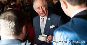 Royal Family: The food and other things Prince Charles will not allow under his roof - Wales Online