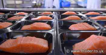 Scottish food processing businesses face high staff turnover challenge - Insider.co.uk