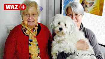 Geldautomat: Bewohner über Bank in Witten schlafen schlecht - Westdeutsche Allgemeine Zeitung