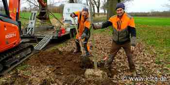 Naturschutz: Ersatz für kranke Bäume an den Straßenalleen im Kreis Euskirchen - Kölner Stadt-Anzeiger