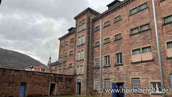 Fauler Pelz in Heidelberg: Stadt mit Ultimatum! Land soll Arbeiten stoppen - heidelberg24.de