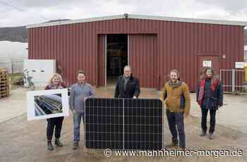 Handschuhsheimer Landwirt erntet nun auch Sonnenenergie für 43 Haushalte - Heidelberg - Nachrichten und Informationen - Mannheimer Morgen