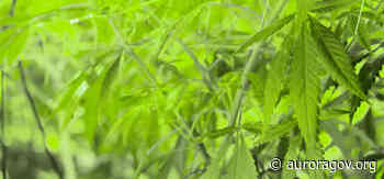 Industrial Hemp - Aurora Police Department