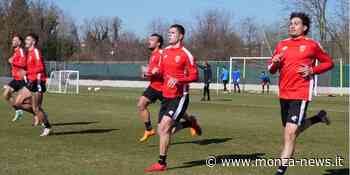 Diretta Live Monza - Lecce (dom. 27/2, ore 15:30), i biancorossi hanno ripreso con una seduta mattutina: da valutare Carlos, stiramento per D'Alessandro e Marrone - Monza-News