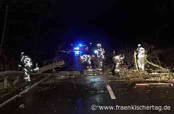 Sturm hinterlässt in Bamberg wenige Schäden - Fränkischer Tag