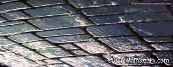 What Drives Your Art?