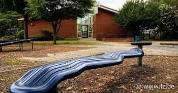 An der Bachschule werden Bäume gefällt | Lokale Nachrichten aus Detmold - Lippische Landes-Zeitung