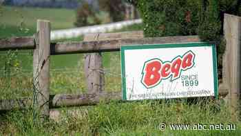 Bega Cheese announces record revenue despite pandemic hardships