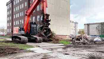Luckenwalde baut Plattenbau zum Vorzeige-Wohnprojekt um - rbb24