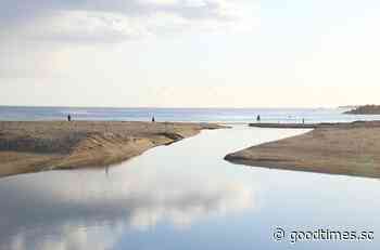 Letter to the Editor: Go Bus-Trail - Good Times Weekly