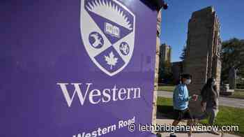 Vaccines, masks required at universities despite broader relaxing of restrictions - Lethbridge News Now