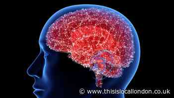 First ever recording of dying brain reveals what might happen when we die