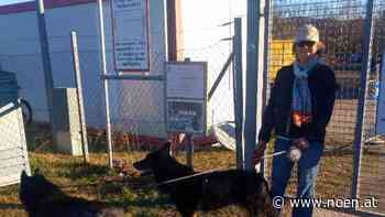 Neunkirchen - Es kommt Bewegung in Hundefreilaufzonen-Debatte - NÖN.at
