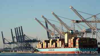 White House announces new steps for long-term supply chain resilience