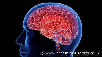 First ever recording of dying brain reveals what might happen when we die