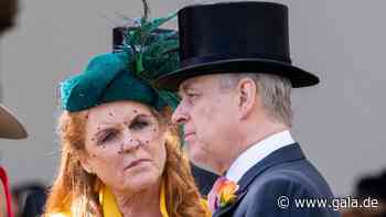 Prinz Andrew: Ex-Frau Sarah Ferguson ist jetzt seine größte Stütze - Gala.de