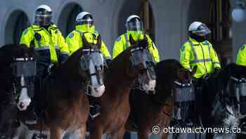 Ontario police watchdog investigating use of horses, non-lethal rounds at Ottawa protest clearing - CTV News Ottawa