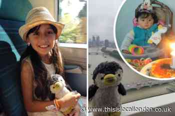 Appeal to find Croydon girl's penguin toy lost in Brighton