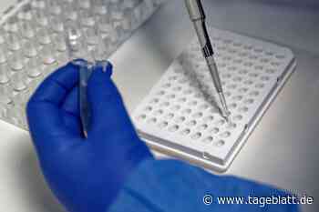 Stiko-Chef Mertens: Omikron-Subtyp BA.2 „könnte beunruhigend werden“ - Landkreis Stade - Tageblatt-online