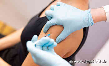 Das sagen die Bundestagsabgeordneten aus der Region zur Impfpflicht - Landkreis Stade - Tageblatt-online