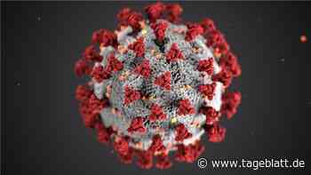 Inzidenz im Kreis Stade steigt wieder – Höchster Stand seit einer Woche - Landkreis Stade - Tageblatt-online