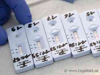 Corona: Inzidenz im Kreis Stade über 700 – Ein weiterer Todesfall - Landkreis Stade - Tageblatt-online