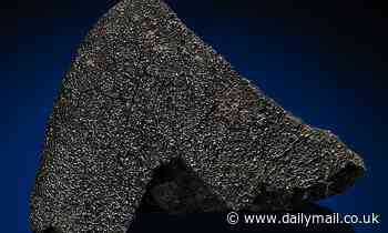 Winchcombe meteorite fragment the size of a bean sells for £9,256