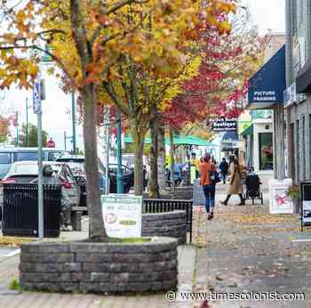 Sidney Fire pushes for 24-hour staffing and taller truck for higher buildings - Times Colonist