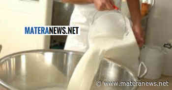 Matera: pesante crisi per gli allevatori, incontro in Prefettura. I dettagli - Matera News