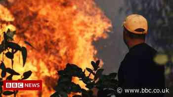 Global warming and land use change to drive more extreme wildfires